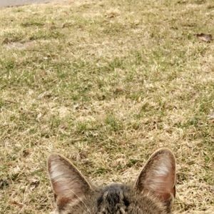 Meet your Posher, Ava